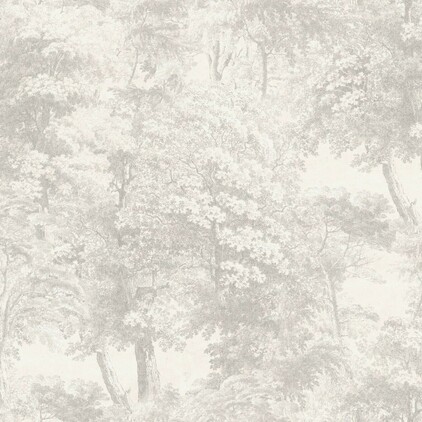 Countryside 4