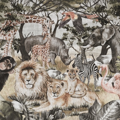 Safari N4