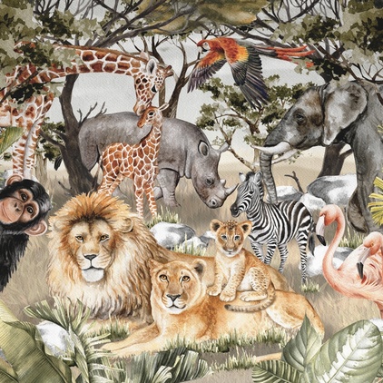 Safari N3