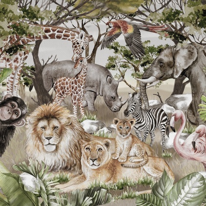 Safari N2