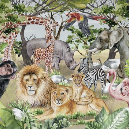Safari N1
