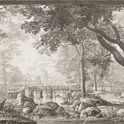 Arcadia N1
