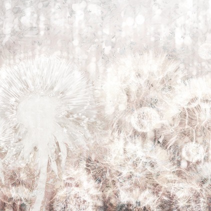 Dandelion N1