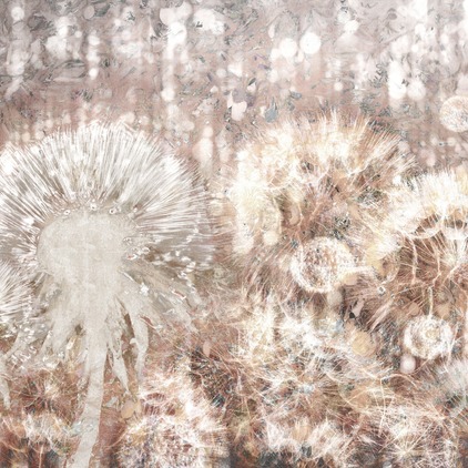 Dandelion N4