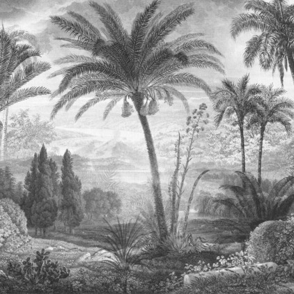 Tahiti N1