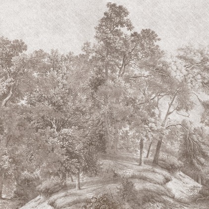 Woodland_N1