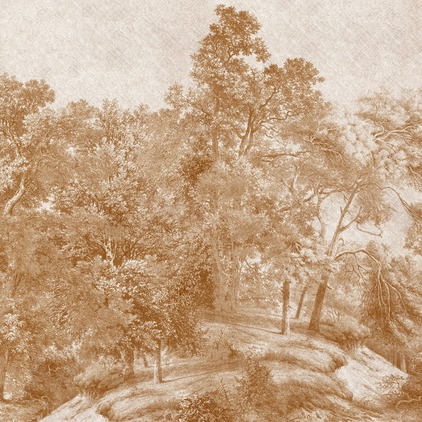 Woodland_N2