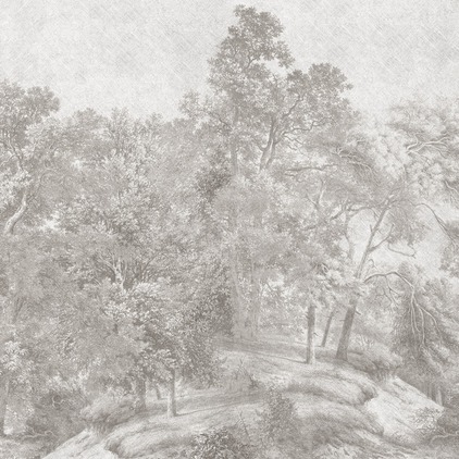 Woodland_N4