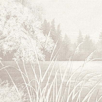 Inari 2