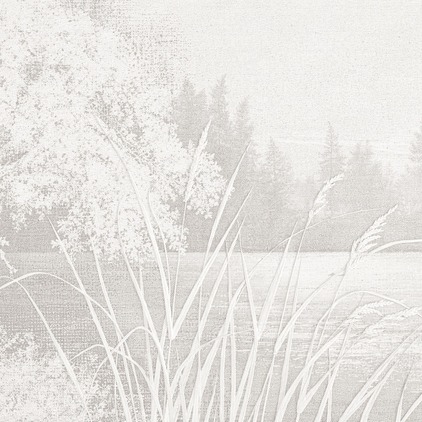 Inari 4