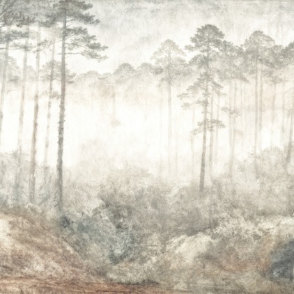 Misty Forest 1