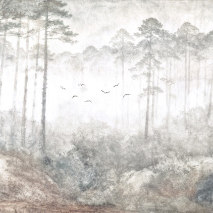 Misty Forest 2