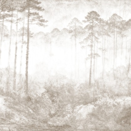 Misty Forest 3