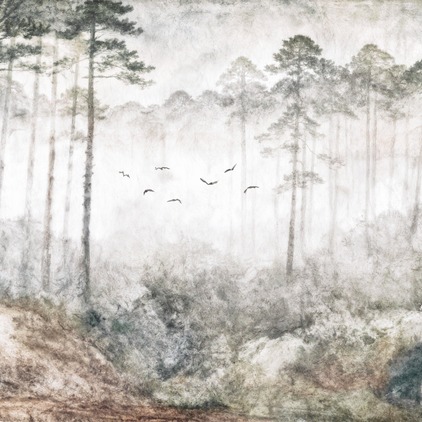 Misty Forest 4