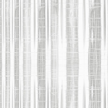 Timber 4