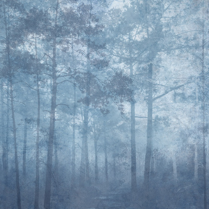 Misty Forrest blue