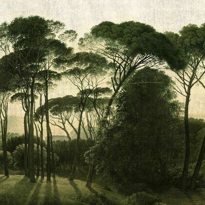 Italian Pines sandy