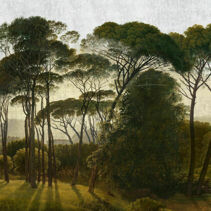 Italian Pines golden hour