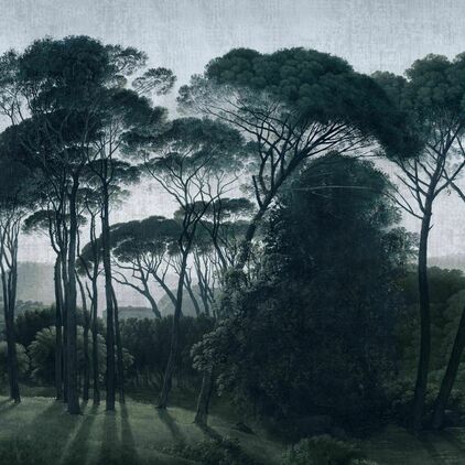 Italian Pines dusk